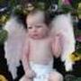Vicky Robinson Photo 19