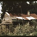 Rodney Post Photo 4