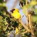 Elizabeth Weaver Photo 11