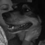 Heather Dougherty Photo 40