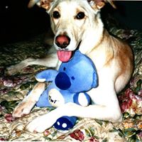 Bill Howe Photo 24