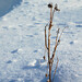 Donald Parks Photo 22