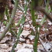 Kathi Rose Photo 18