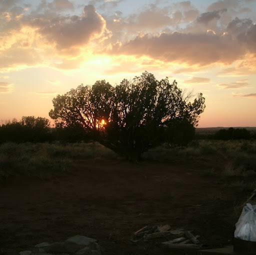 Joyce Matthews Photo 31