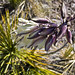 Eric Pinon Photo 15