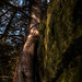 Robin Powell Photo 17