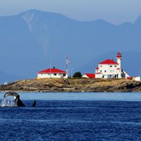 Karen Hering Photo 9
