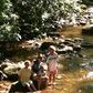 Nancy Willis Photo 16