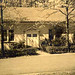 Virginia Lyons Photo 26
