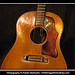 Martha Griffith Photo 15