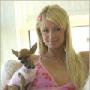 Janis May Photo 17
