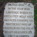 Ann Raines Photo 16