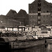 Dock Brown Photo 21