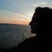 Judith Bradbury Photo 22