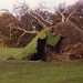Gale Poole Photo 11