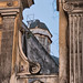 Santa Greco Photo 11