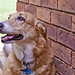 Sallie Foster Photo 14