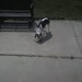 Debra Dayton Photo 7