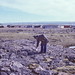 Michel Fortier Photo 17