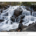 Lee Mitchell Photo 35
