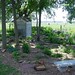 Donna Woodland Photo 17