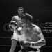 William Muhammad Photo 36