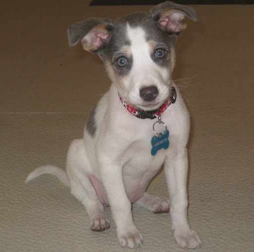 Callie Maddox Photo 2
