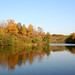 Sharon Wood Photo 20