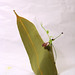 Debra Martin Photo 13