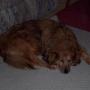 Robert Mulholland Photo 34
