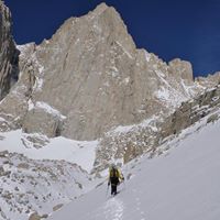 David Farkas Photo 10