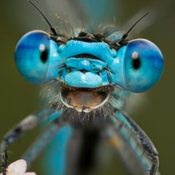 Gregory Robinson Photo 18