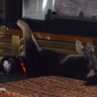 Johanne Turcotte Photo 8