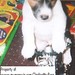Jack Dotson Photo 34