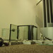 Donald Sample Photo 13
