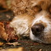 Hollie Winters Photo 7