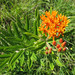 Kelley Bush Photo 15