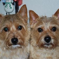 Peggy Simpson Photo 29