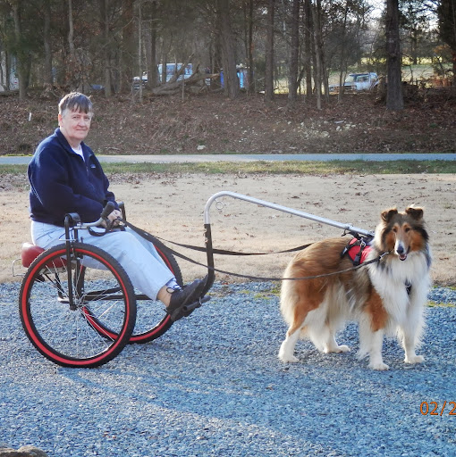 Nancy Greenwood Photo 29