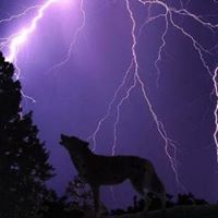 John Pilcher Photo 19