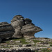 Monte Benjamin Photo 3