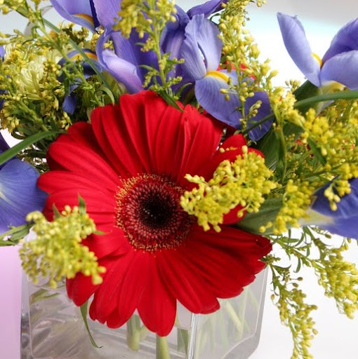 Barbara Goad Photo 7