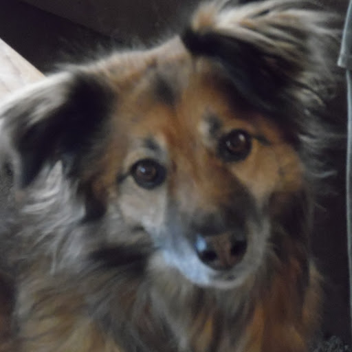 Debra Dayton Photo 3