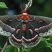 Robin Kellogg Photo 9