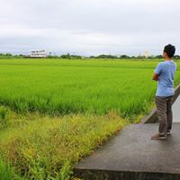 Ping Lin Photo 32