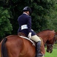 Shelley Higgins Photo 28