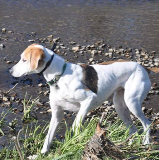 Marion Miller Photo 5