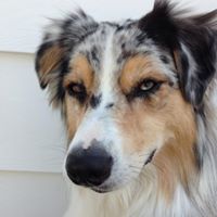 Bert Monroe Photo 4