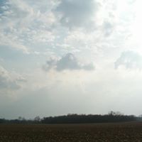 Paul Hendrickson Photo 32