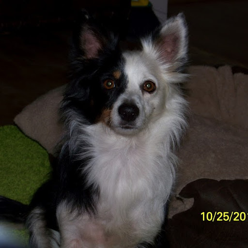 Juanita Reynolds Photo 8